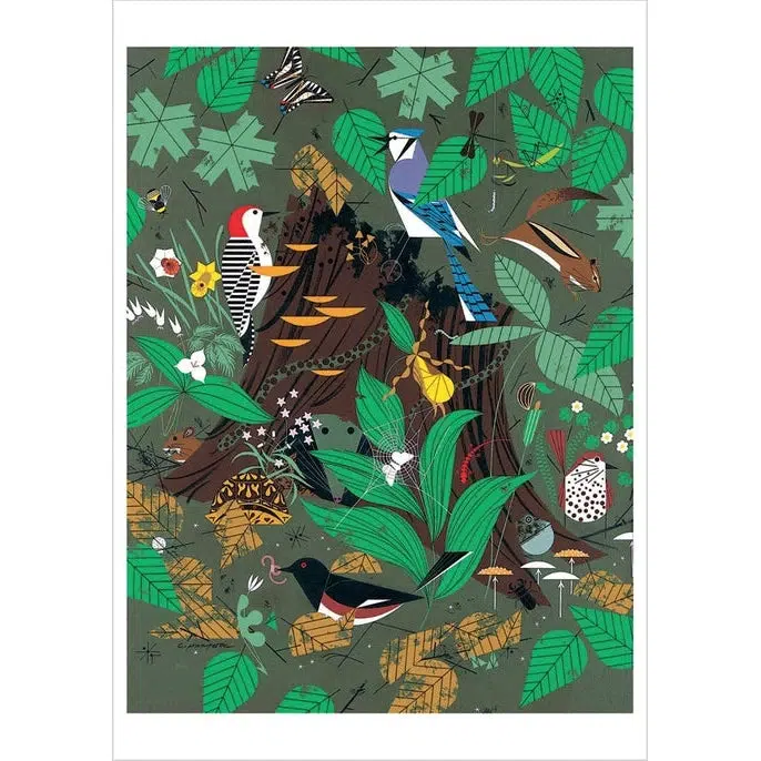 Pomegranate Card: Charley Harper, Woodland Wonders