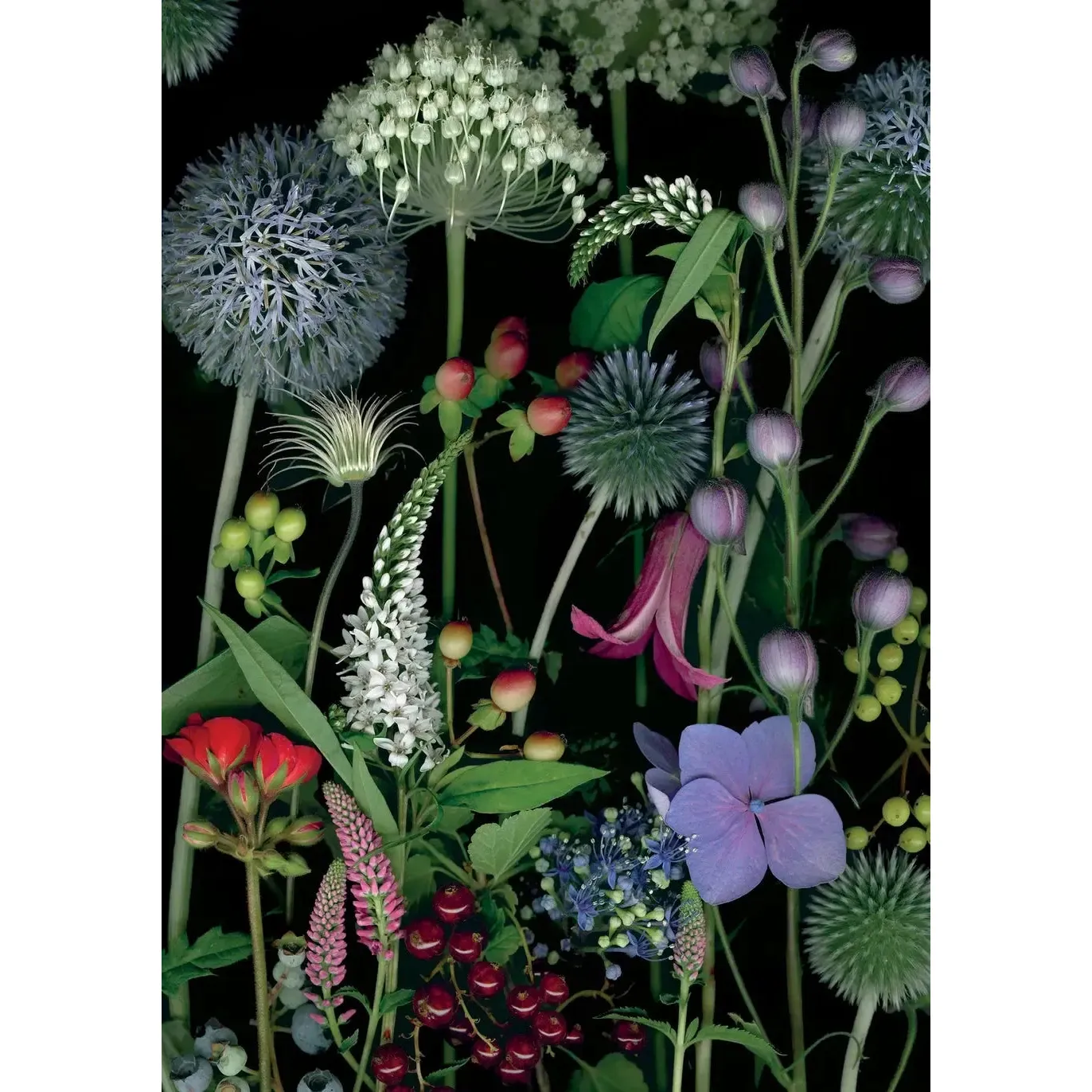 Pomegranate Birthday Card: Deb Stoner, Allium, Gooseneck Loosestrife, and Red Currants