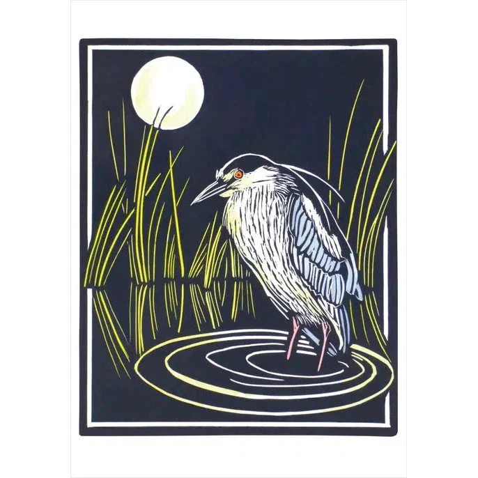 Pomegranate Card: Molly Hashimoto, Black-crowned Night Heron