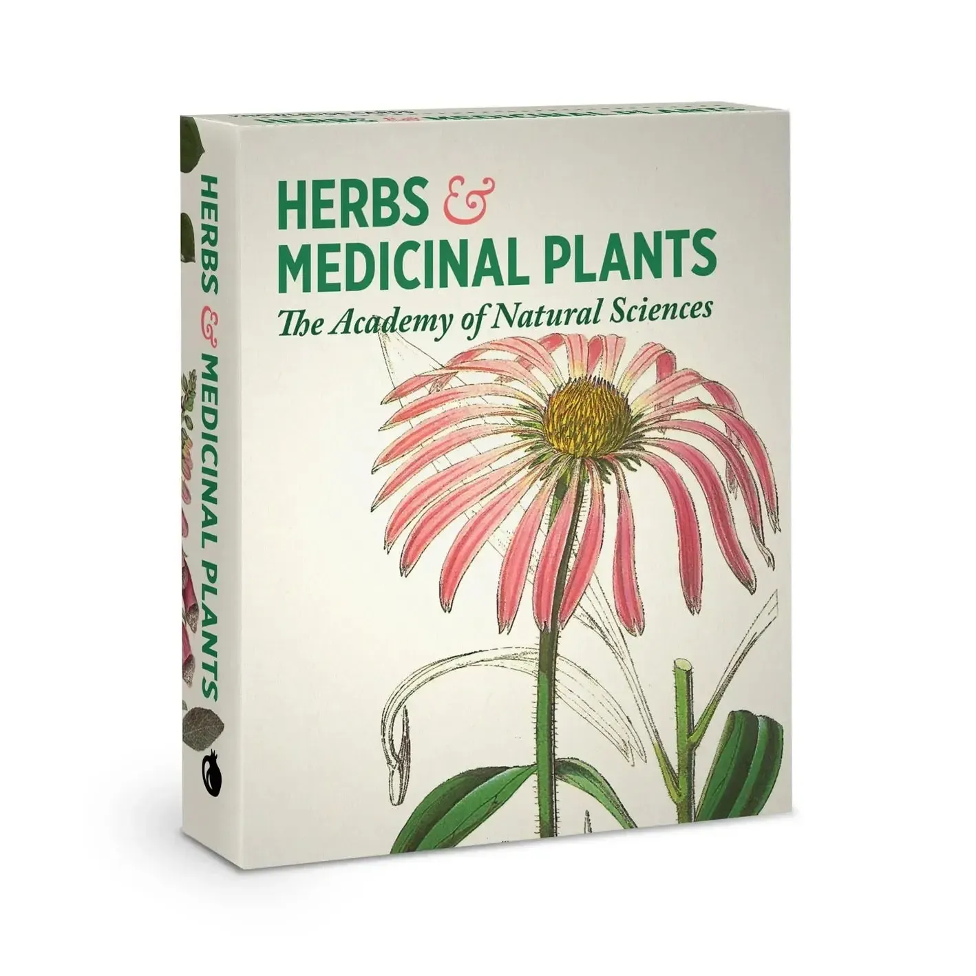 Pomegranate Knowledge Cards: Herbs & Medicinal Plants