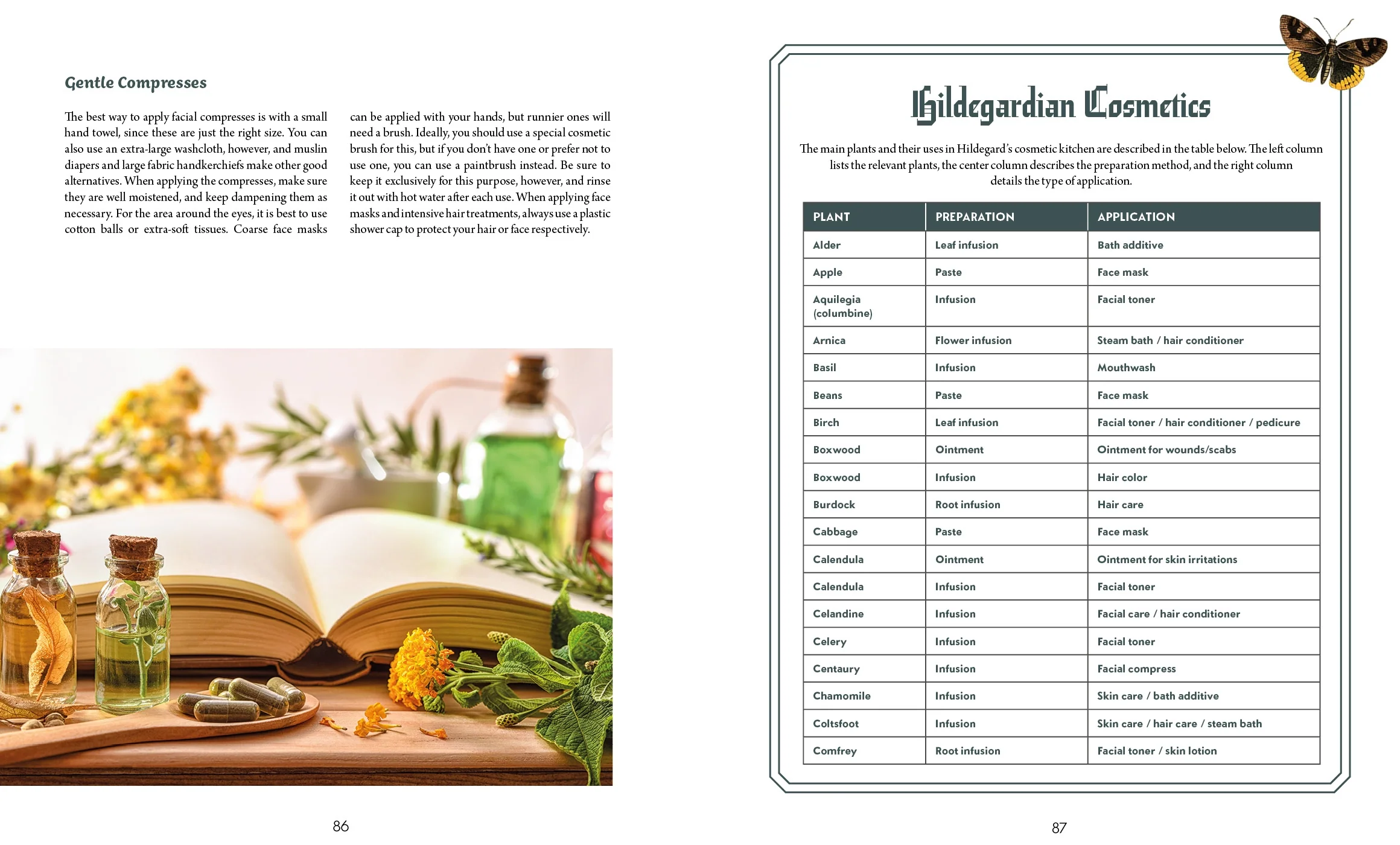 Schiffer Publishing Book Paperback: Saint Hildegard's Guide to Wellness - Image 4