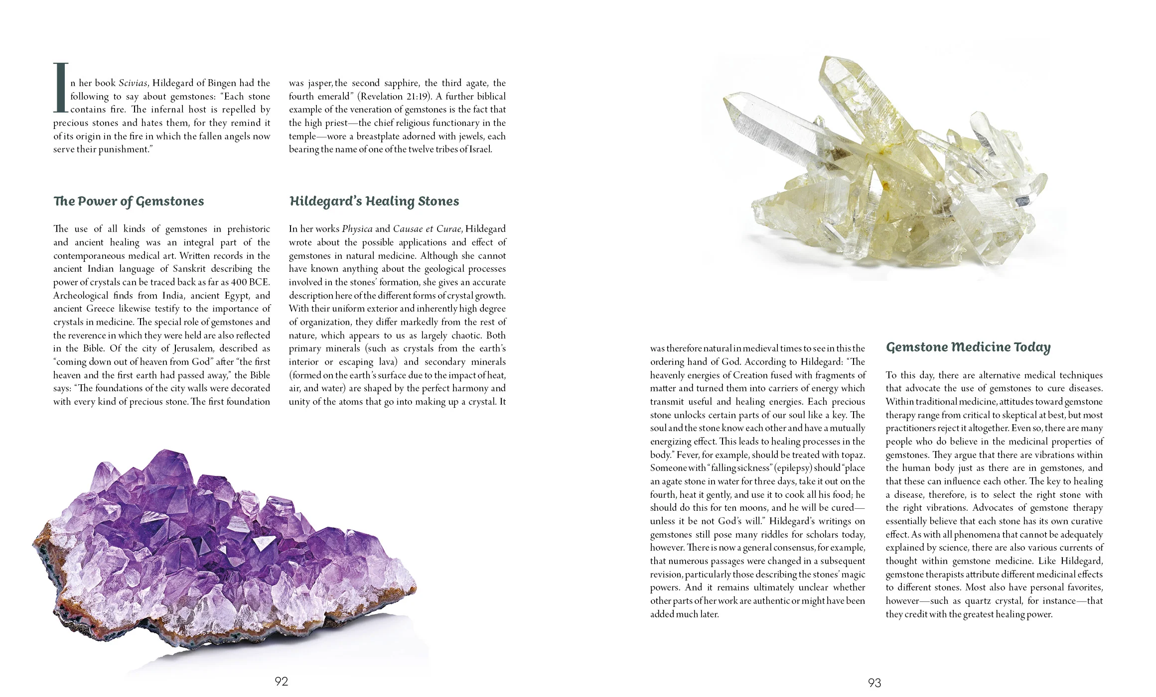 Schiffer Publishing Book Paperback: Saint Hildegard's Guide to Wellness - Image 5