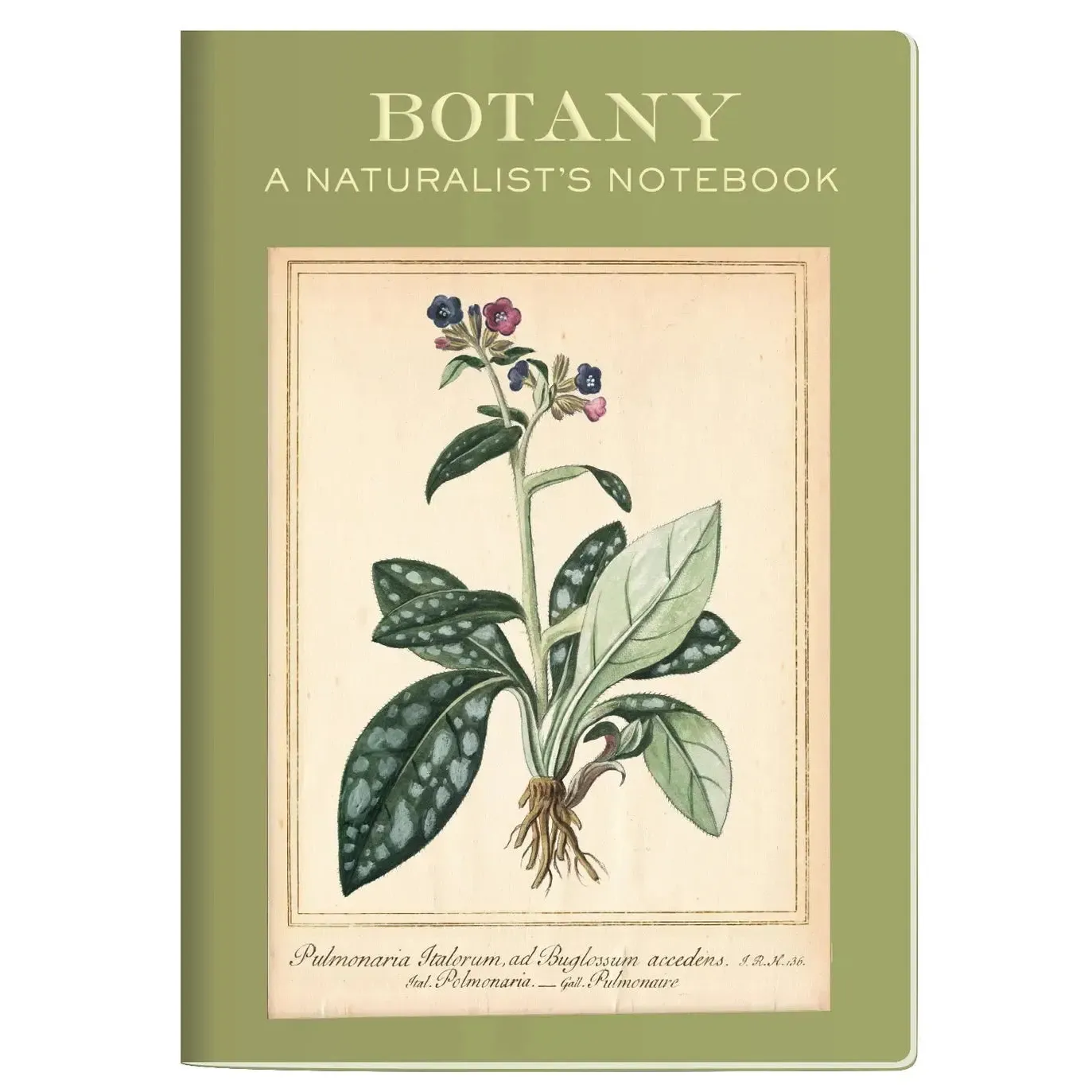 Unemployed Philosophers Guild Mini Notebook: Botany