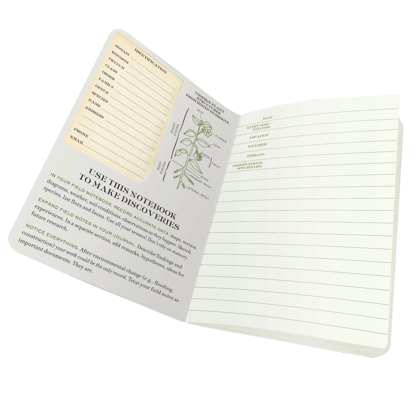 Unemployed Philosophers Guild Mini Notebook: Botany - Image 2