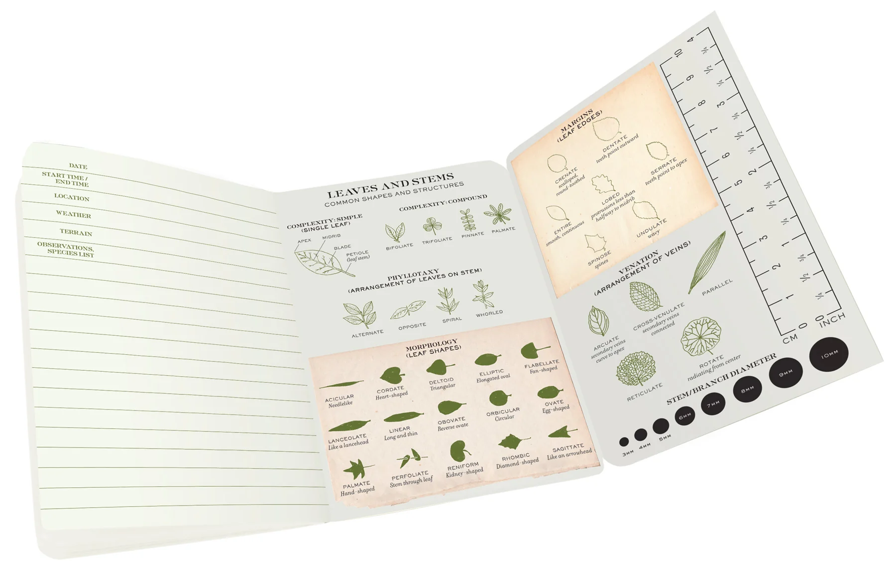 Unemployed Philosophers Guild Mini Notebook: Botany - Image 3